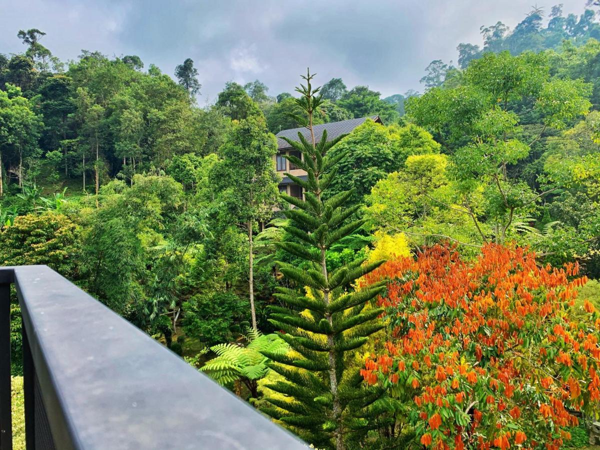 Harmony Valley Retreat Bukit Tinggi Dış mekan fotoğraf