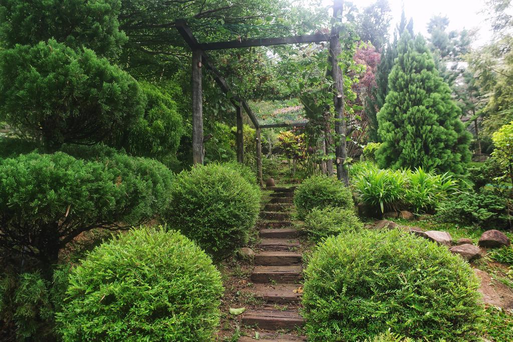 Harmony Valley Retreat Bukit Tinggi Dış mekan fotoğraf