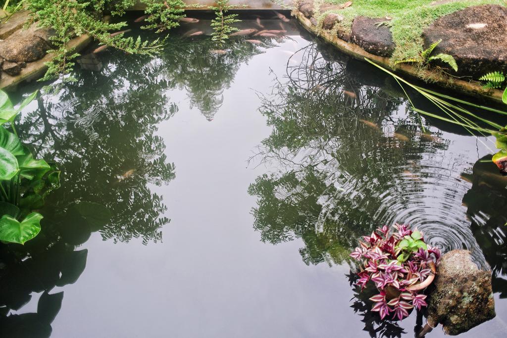 Harmony Valley Retreat Bukit Tinggi Dış mekan fotoğraf